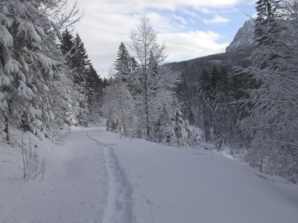 Ferienwohnung Am Roemerweg Wald Inzell Luaran gambar