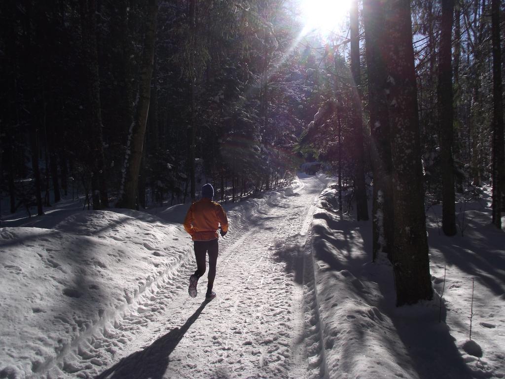 Ferienwohnung Am Roemerweg Wald Inzell Luaran gambar