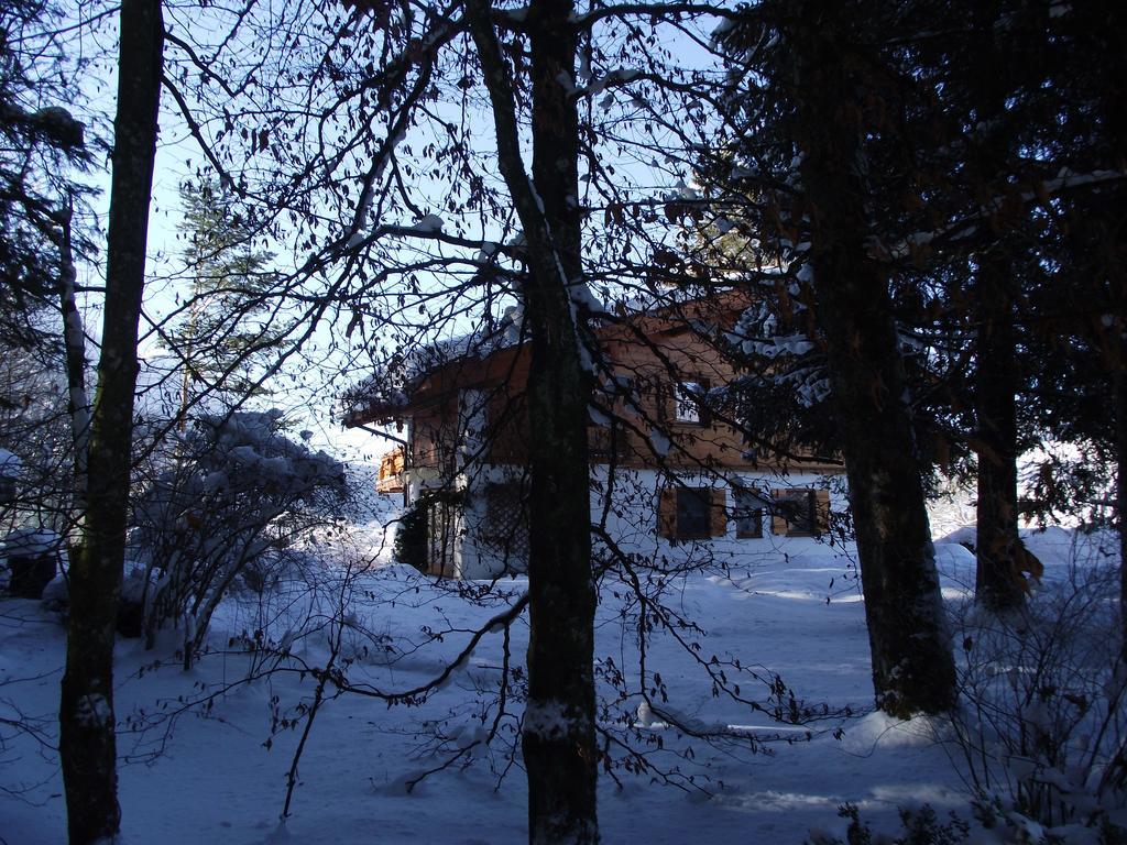 Ferienwohnung Am Roemerweg Wald Inzell Luaran gambar